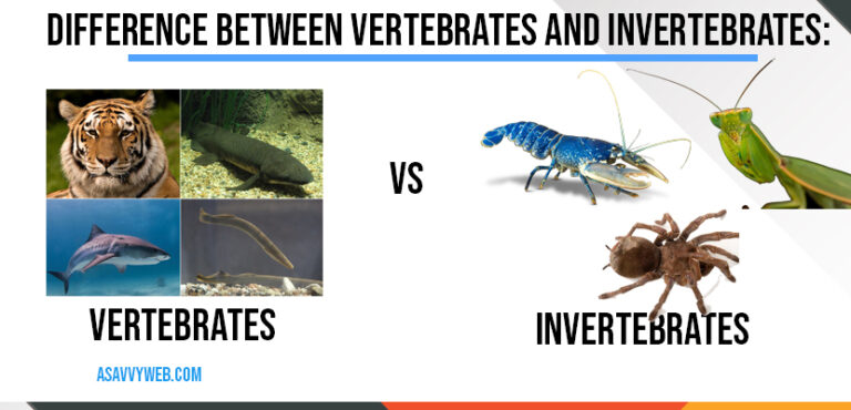 Difference Between Vertebrates and Invertebrates: - A Savvy Web